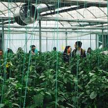 家具 生活空間的靈魂與藝術(shù)