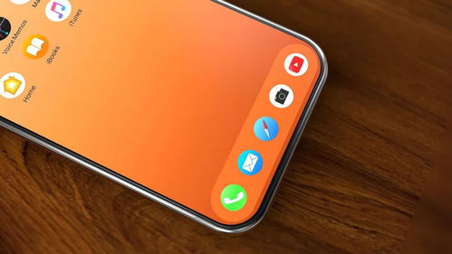 iPhone XR 2 正面曝光 真全面屏設計或將引領智能手機新潮流